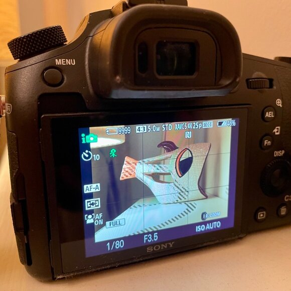 Sony RX10 Mark IV - Professional Camera - Picture 3 of 8